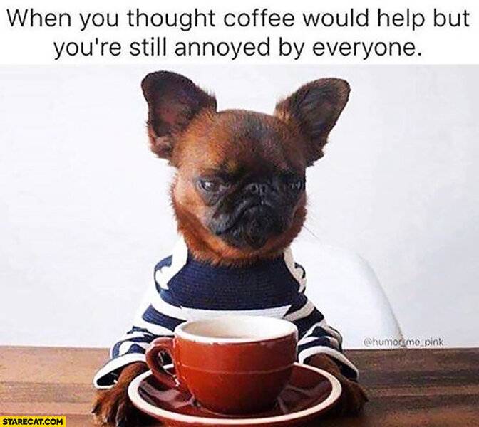 when-you-thought-coffee-would-help-but-youre-still-annoyed-by-everyone-angry-dog.jpg