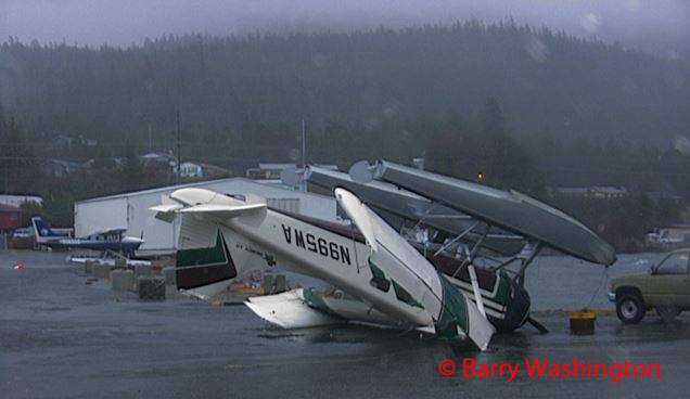 windy beaver w.jpg