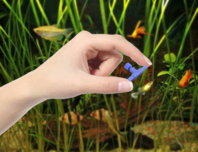 Woman-hand-holding-aquarium-airline-control-valve-in-front-of-fish-tank.jpg