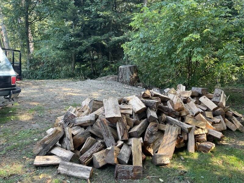 Woodpile.jpeg