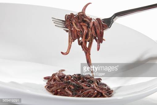 worms-on-fork-and-plate-picture-id565419291?s=170667a.jpg