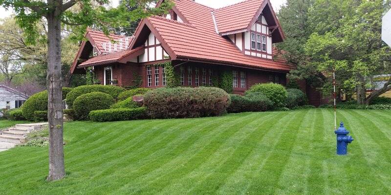 yard striping2.jpg