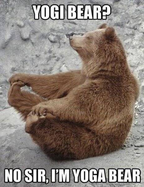 Yoga Bear.jpg