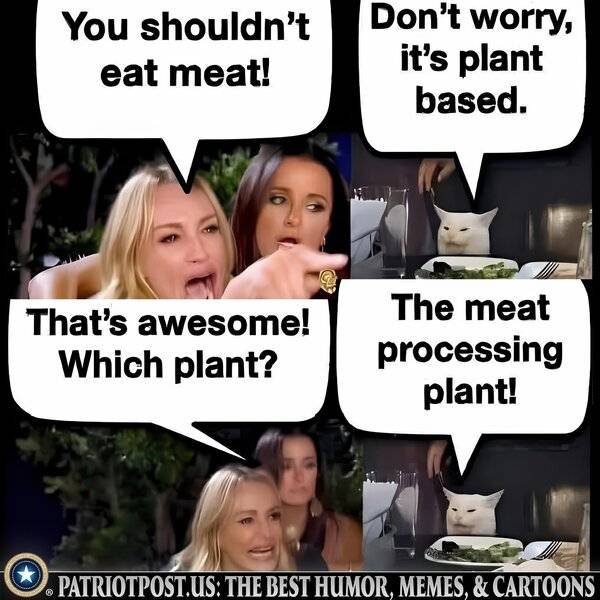 YOU SHOULDN'T EAT MEAT.jpg