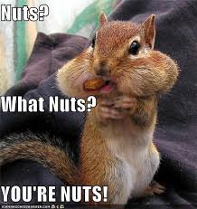 youre-nuts.jpg