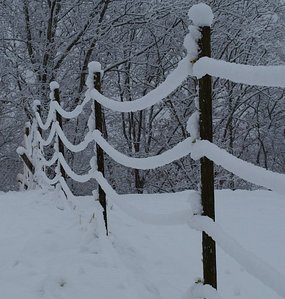 Snowy Garden.jpg