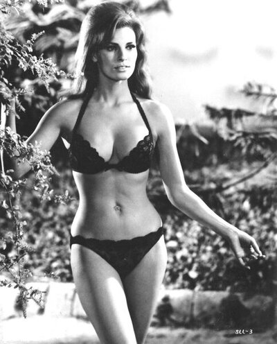 9f59f69031891bc24daebb339fa34b8e--raquel-welch-vintage-ladies.jpg