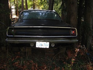 67 fastback