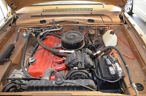 1965 GT Project Car