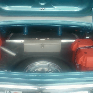 trunk2.png