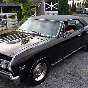 Herm's 67 Chevelle.jpg